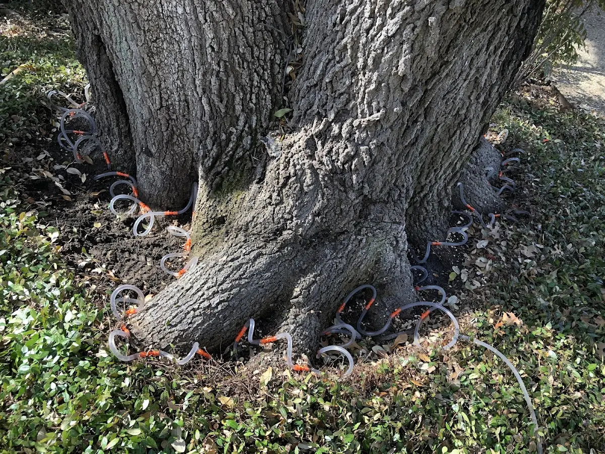 Detailed Shrub and Hedge Trimming job site in Ladora